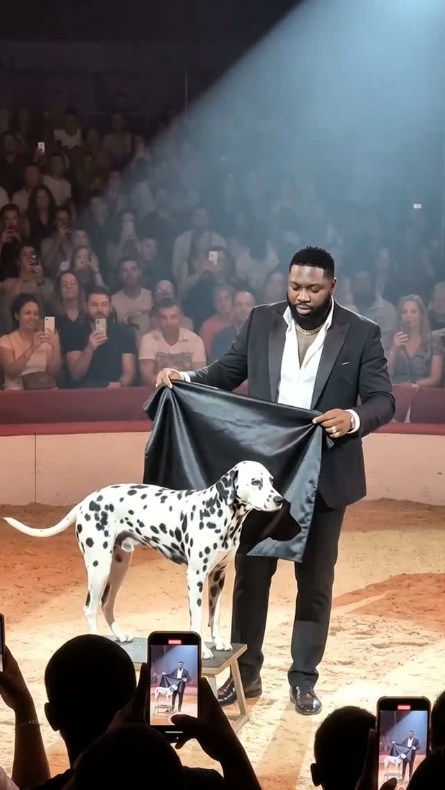 Where is the dog? 😯