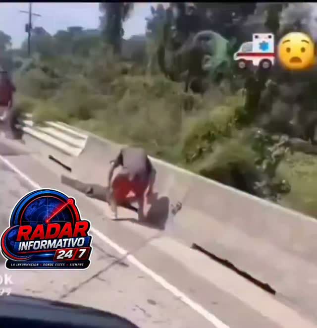 ¡CUANDO LA EVOLUCIÓN TE DEJA CLARO QUIÉN MANDA! 🐊😱⚠️